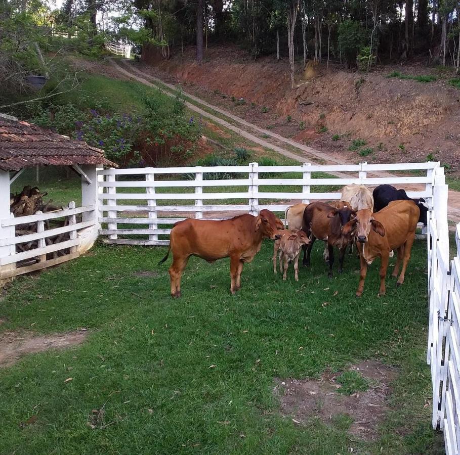 Chales Vinhas Da Harmonia L Pousada Em Cunha Sp Buitenkant foto