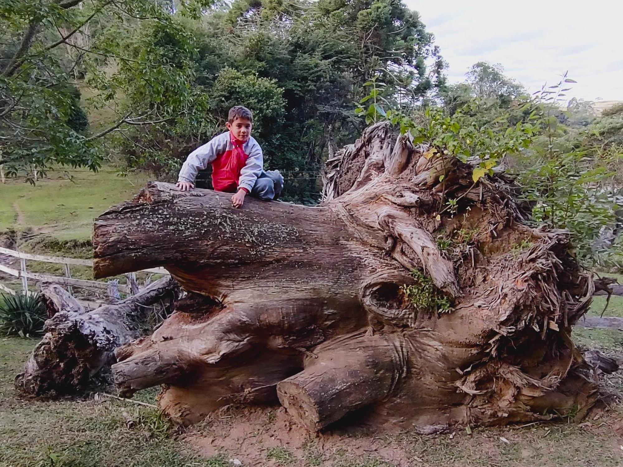 Chales Vinhas Da Harmonia L Pousada Em Cunha Sp Buitenkant foto